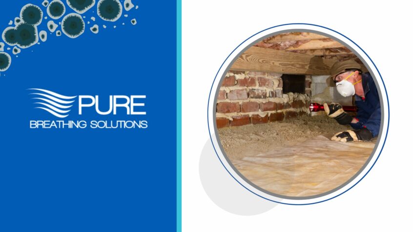 Man investigating crawlspace with Pure Breathing logo