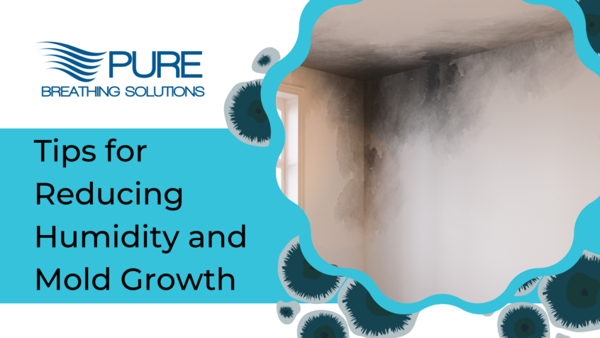 Mold in the corner of a room, text “Tips for Reducing Humidity and Mold Growth”
